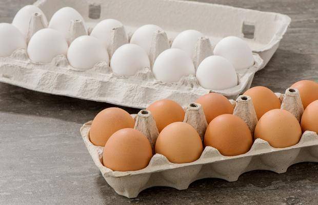 eggs.ca