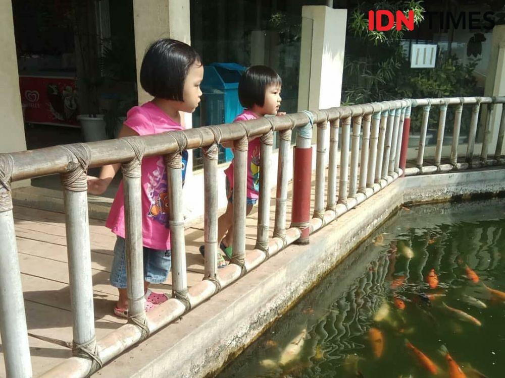 Tempat wisata Bird Park OPI Palembang (IDN Times/Feny Maulia Agustin)
