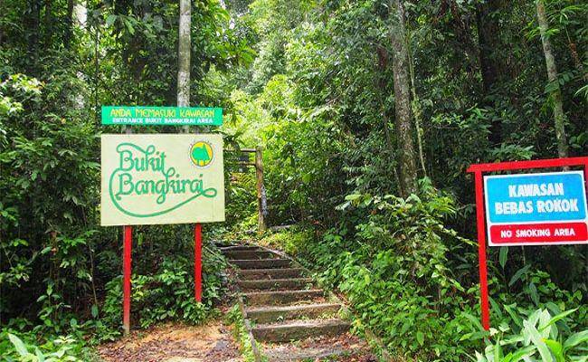 getborneo.com