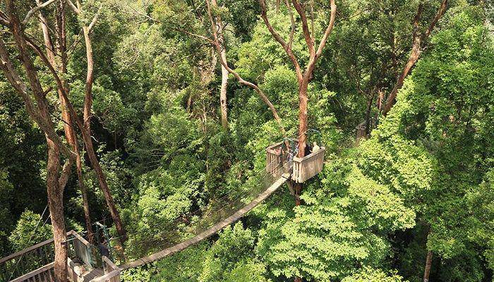 visitmyborneo.com