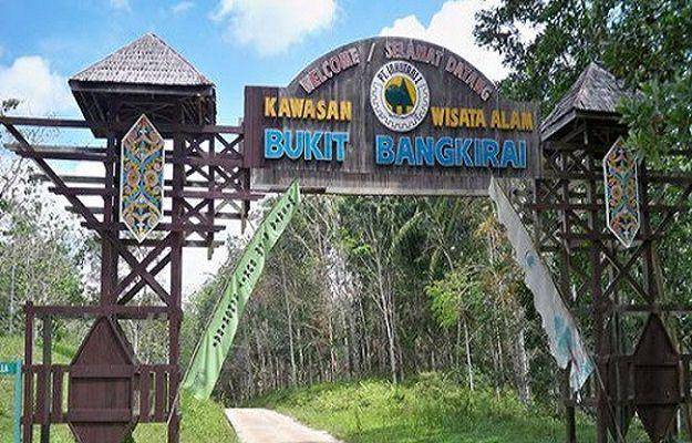 getborneo.com