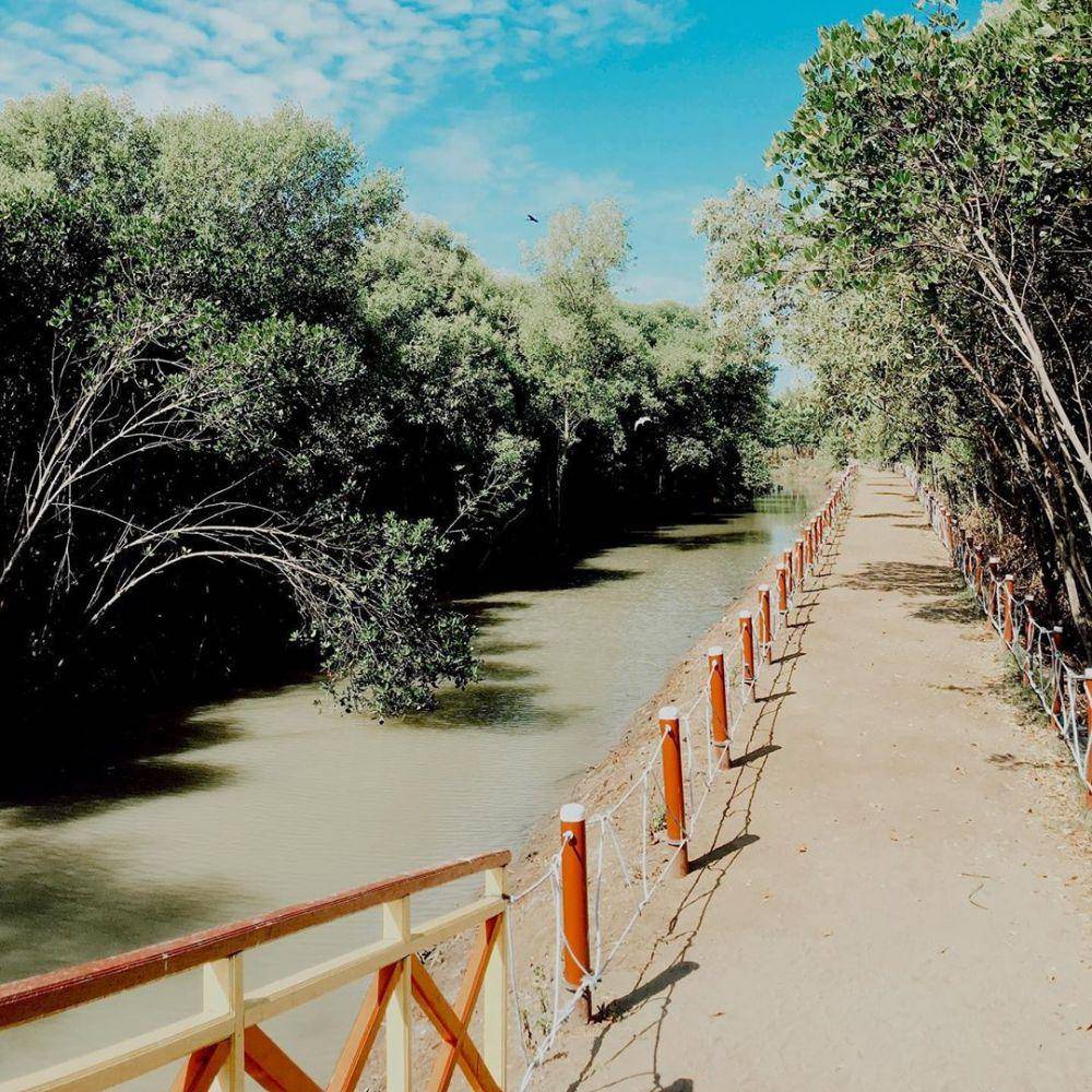 Hutan Mangrove Karangsong di Indramayu (instagram.com/prtdna__0