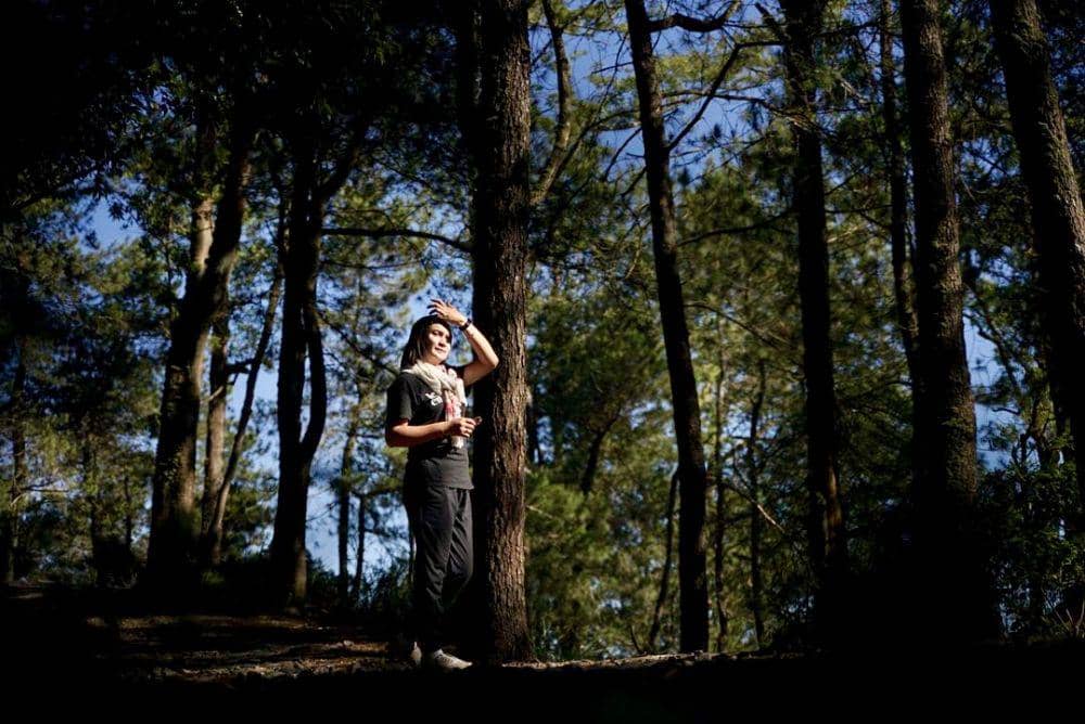 6 Keindahan Hutan Pinus di Luar Pulau Jawa Ini Gak Kalah Memesona Lho!