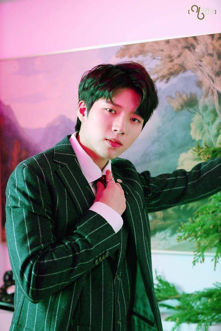 naver.com
