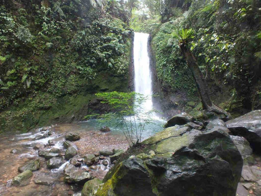 lovelybogor.com