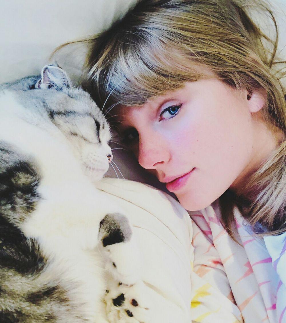 Instagram.com/taylorswift