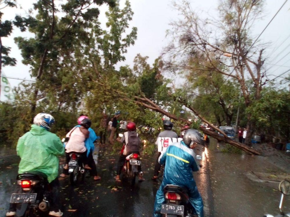 Angin kencang membuat pohon tumbang ke jalanan. IDN Times/Istimewa