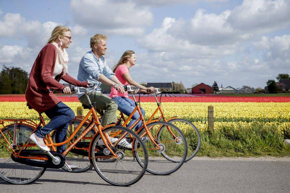 rentabikevandam.nl