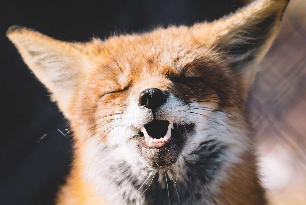 Unsplash/plloyd