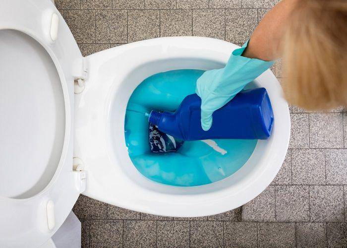 thecleanerhome.com