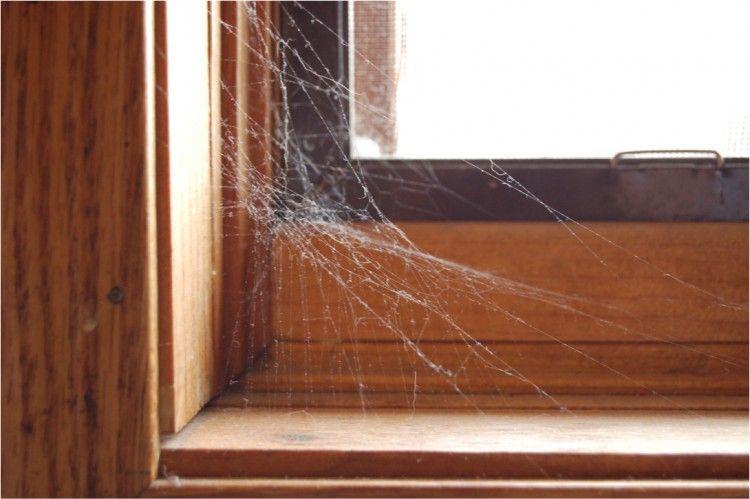 5 Tempat Kotor di Rumah yang Sering Gak Kamu Sadari