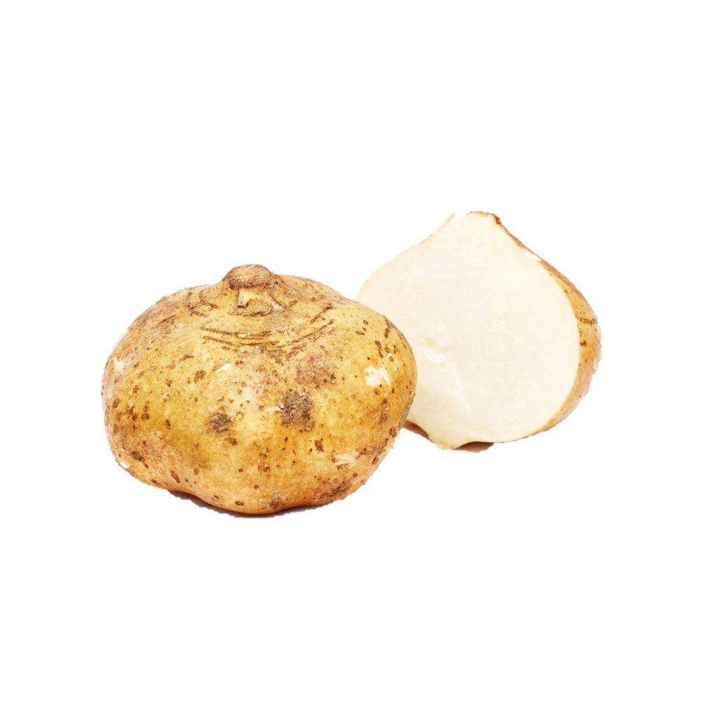soonhuatseeds.com