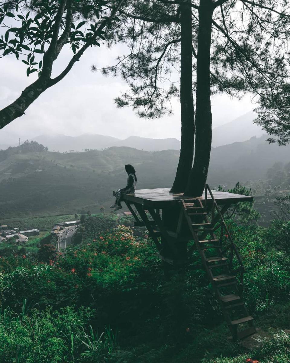 Liburan Akhir Tahun? Ini 5 Rekomendasi Rumah Pohon Unik di Indonesia