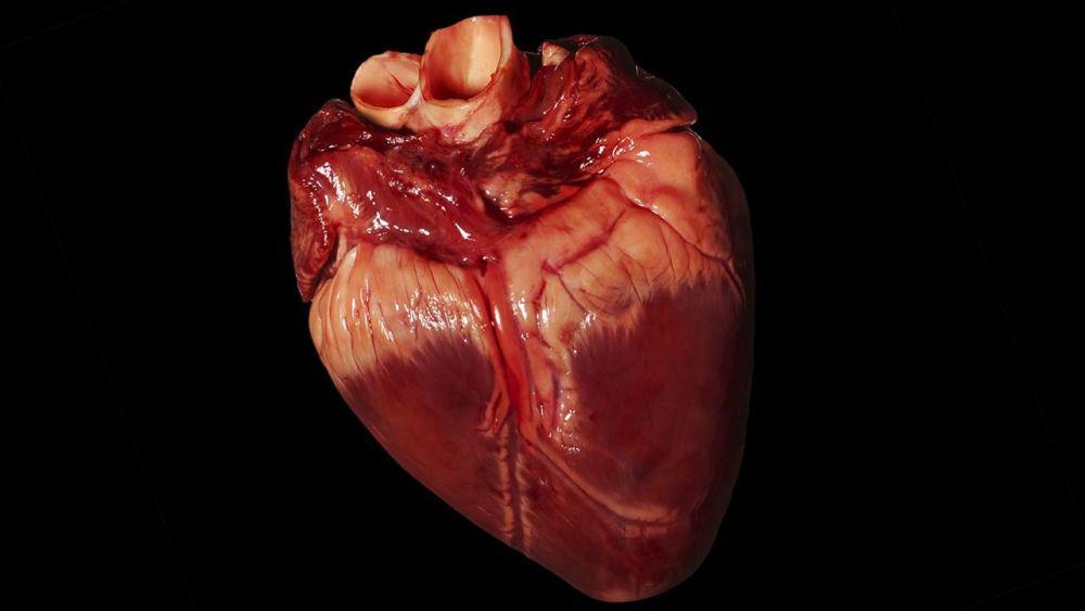 sciencemag.org