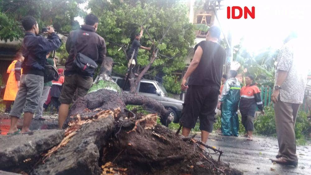 Hujan Deras Disertai Angin Kencang, Mobil Tertimpa Pohon di Kudus