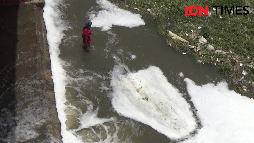 Air Sungai Berbusa, Ribuan Ikan Nila di Kali Pepe Tiba-tiba Mati