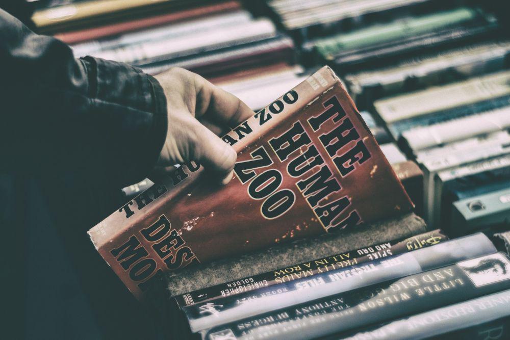 unsplash/jamessutton_photography
