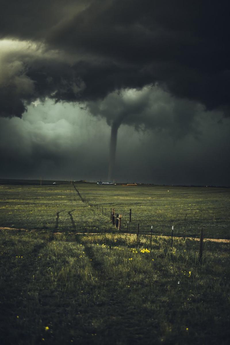 Unsplash/Nikolas Noonan