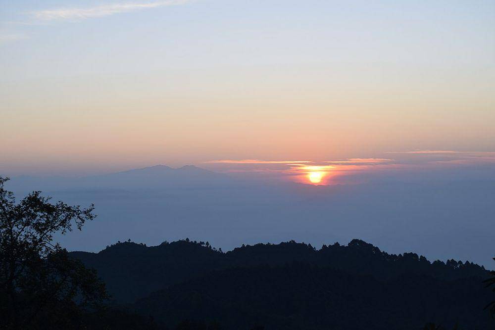wikimedia.org