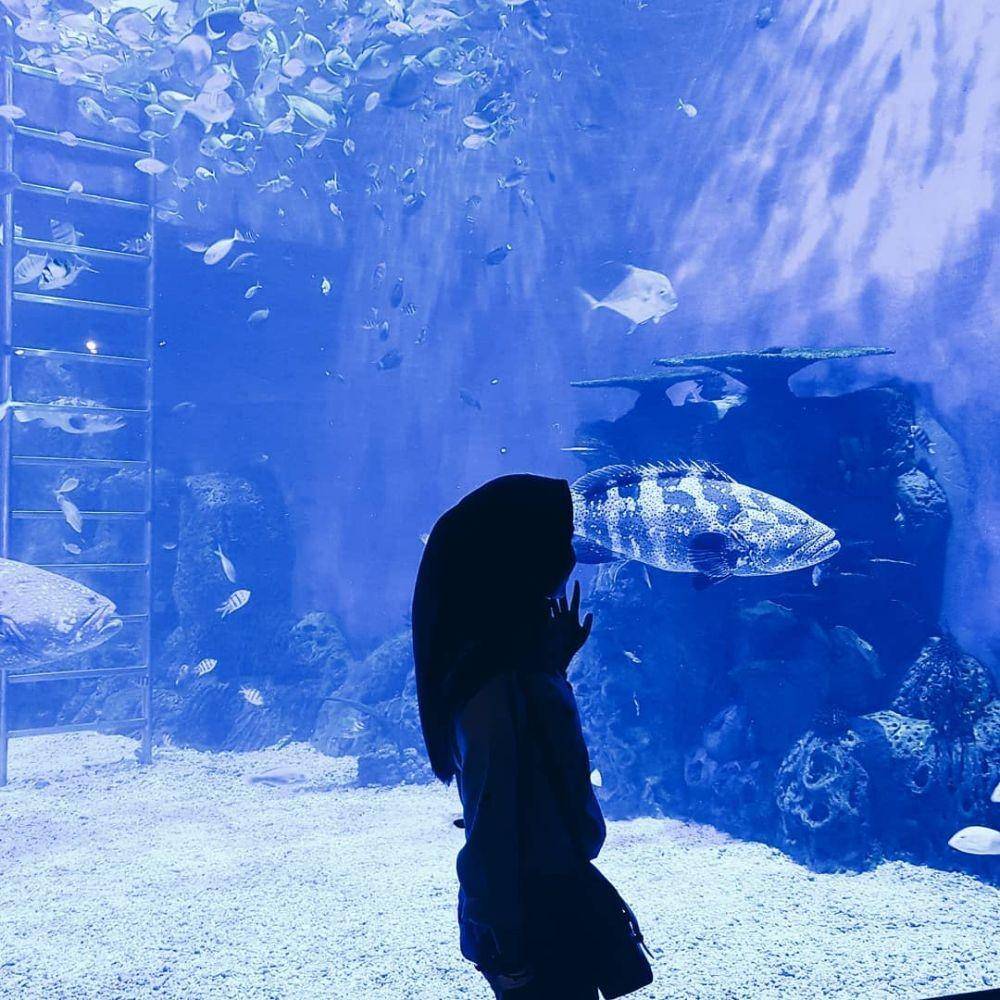 Jakarta aquarium/instagram.com/annisataaa