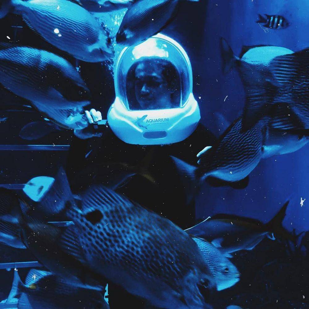 Jakarta aquarium/instagram.com/kevinjulio1993