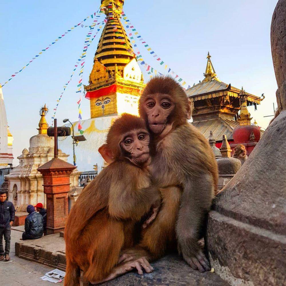 instagram.com/marvelsofnepal