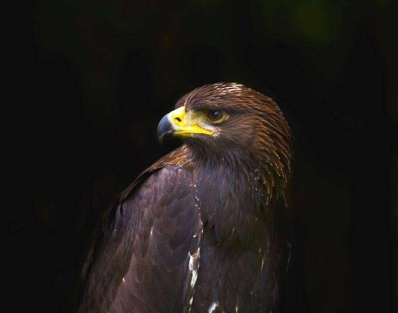 unsplash.com/Jack Seeds