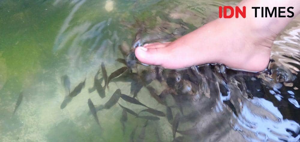 Mencari SIM Di Polres Bantul akan Dimanjakan Terapi Ikan