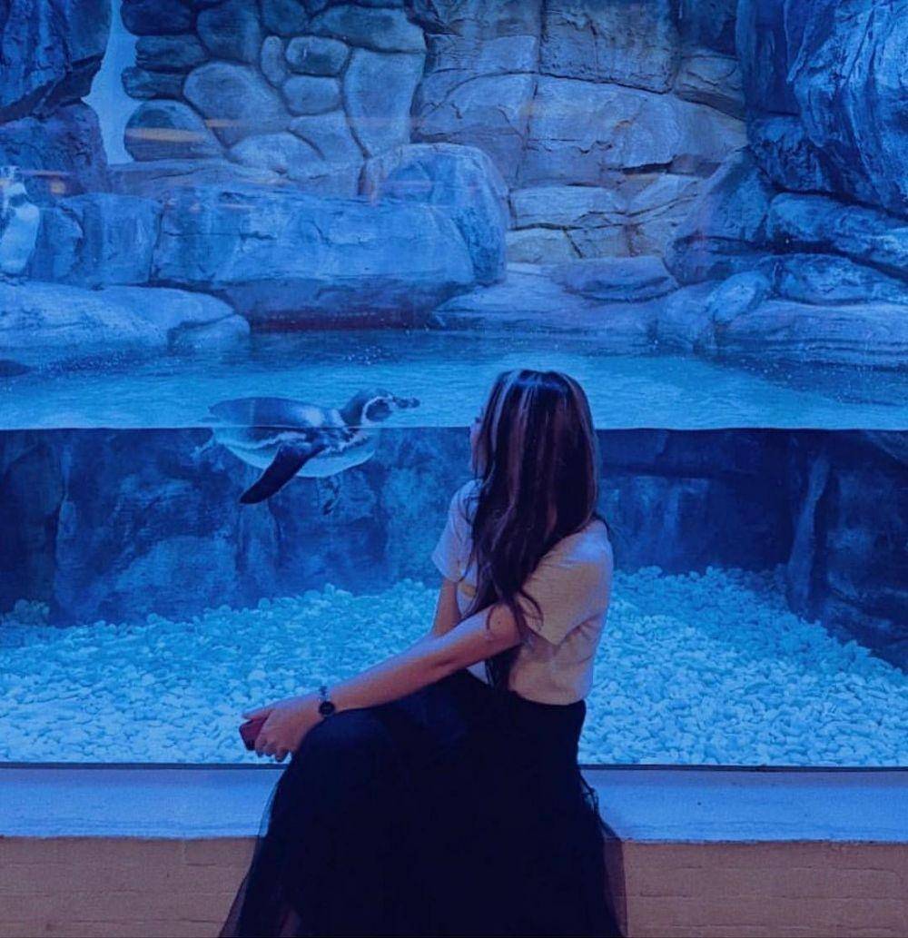 Jakarta aquarium/instagram.com/rosagusfa