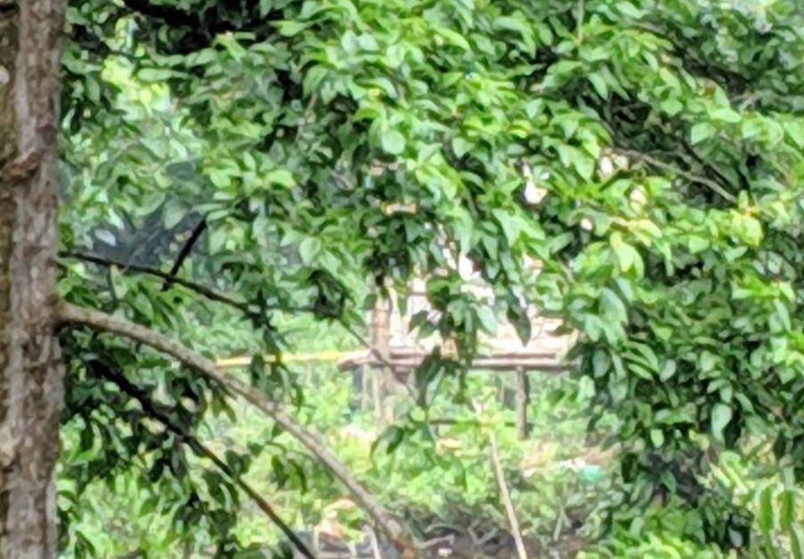 Gubuk di seberang tambak diduga menjadi tempat perakitan bom di Polrestabes Medan (IDN Times/Prayugo Utomo)