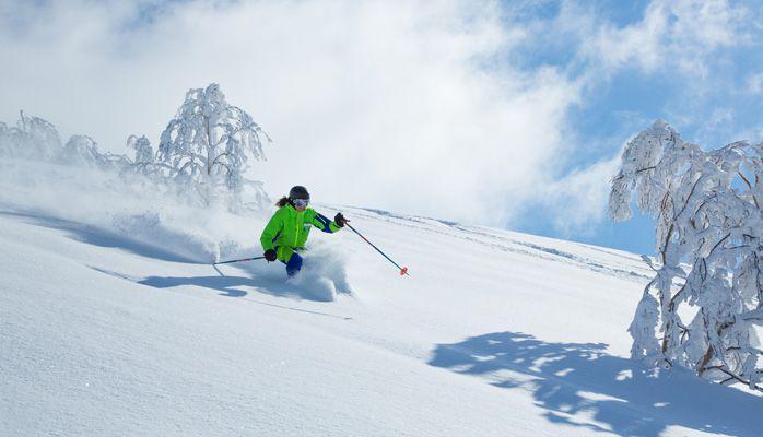 nidski.com