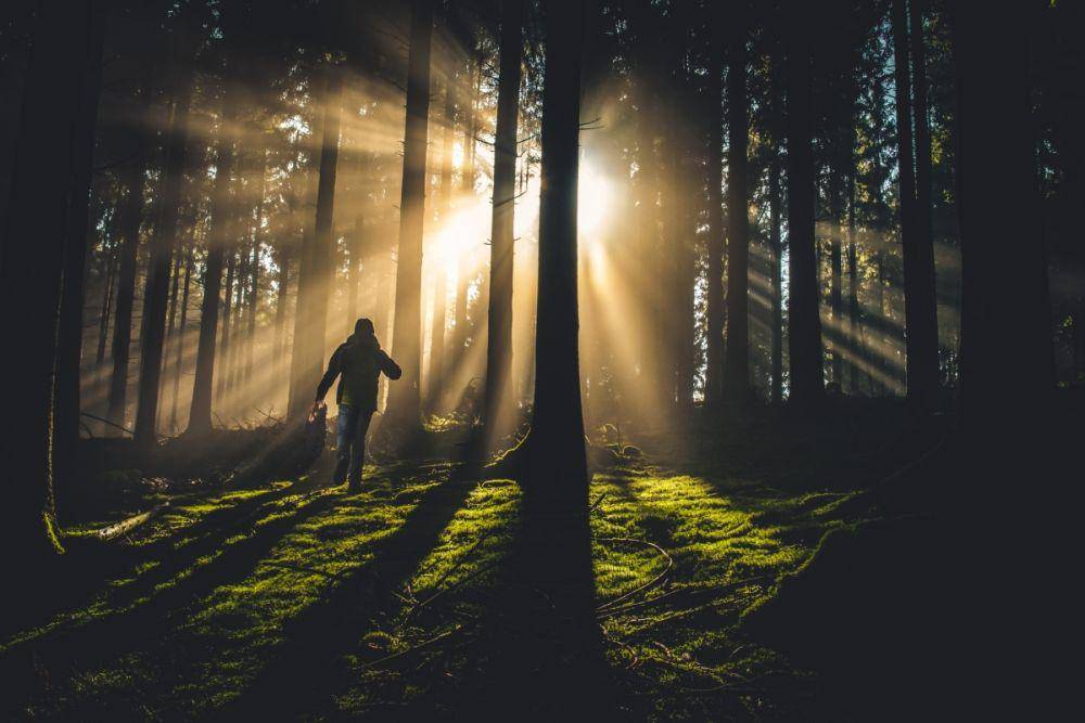 unsplash.com