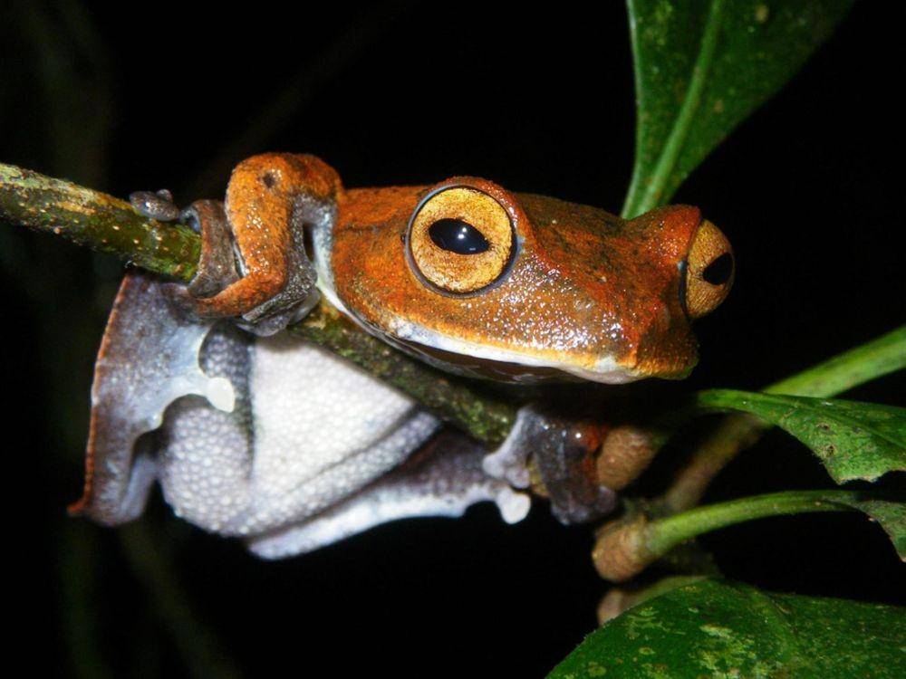 nationalgeographic.com