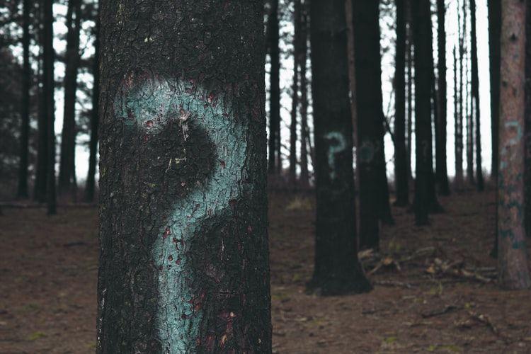unsplash.com/@evan__bray