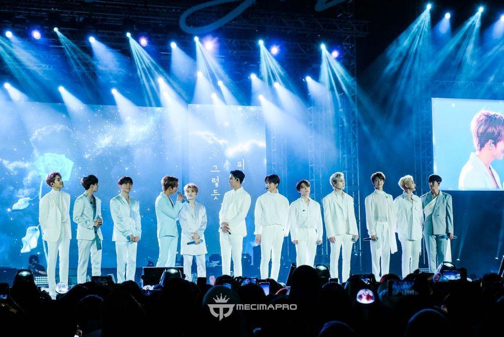 Dibikin Haru, 11 Kesan Member Seventeen Terhadap Carat Indonesia