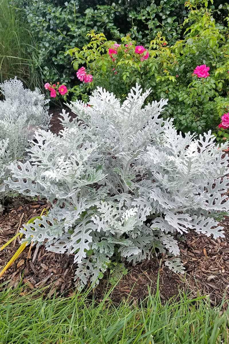 gardenerspath.com