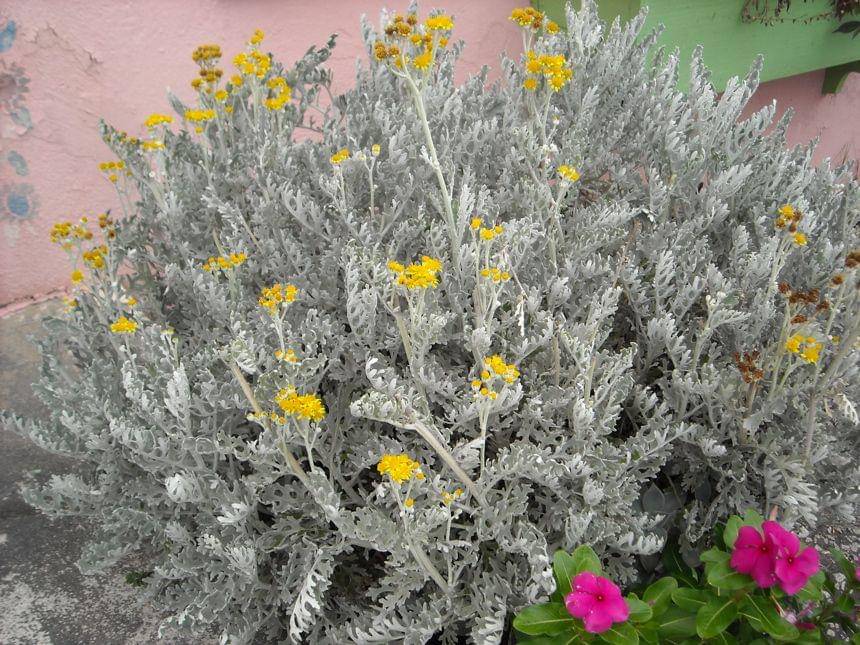 churchcreeknursery.com
