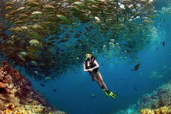 wanderluxe.theluxenomad.com