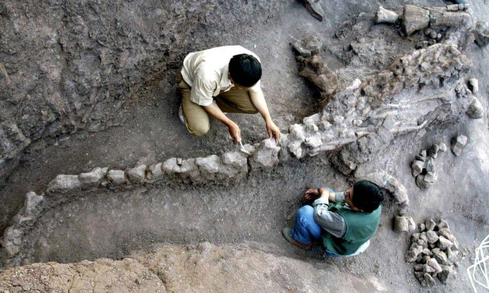 Sering Dikira Sama, Ini 5 Perbedaan Paleontogi dan Arkeologi
