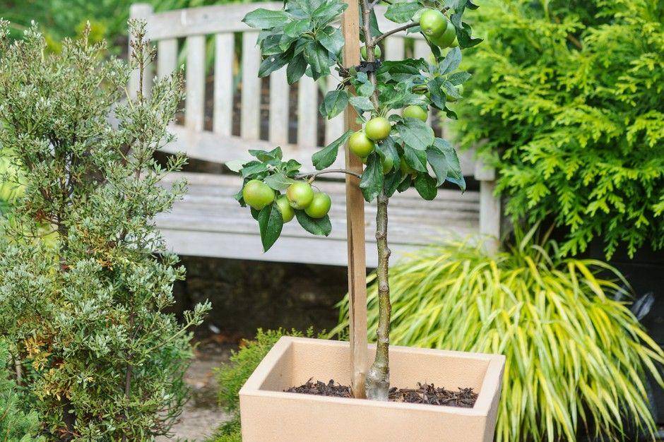 gardenersworld.com