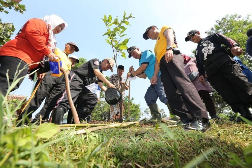 Tambah Ruang Terbuka Hijau, Pemkot Tanam 15 Ribu Bibit Pohon
