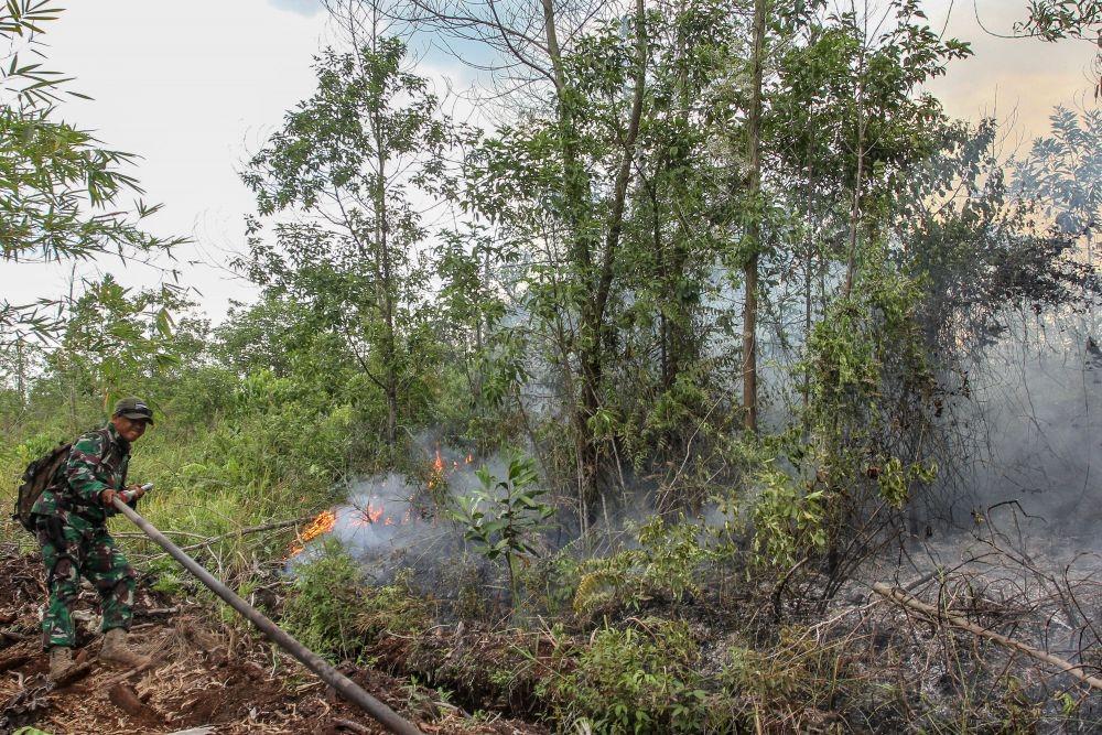 Petugas TNI menarik selang air ketika upaya pemadaman bara api yang membakar lahan gambut. (ANTARA FOTO/Rony Muharrman)