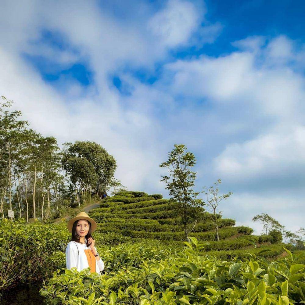 instagram.com/wisatadiyogyakarta/