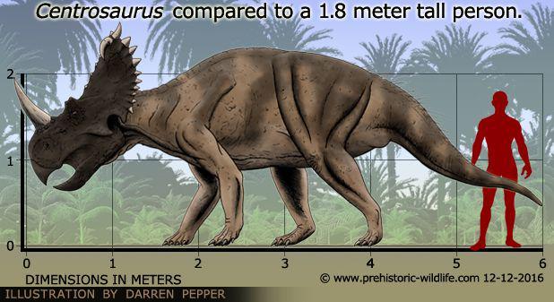 prehistoric-wildlife.com