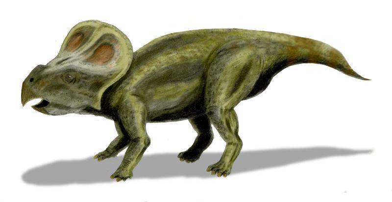 dinopit.com