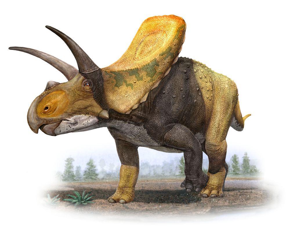 blog.everythingdinosaur.co.uk