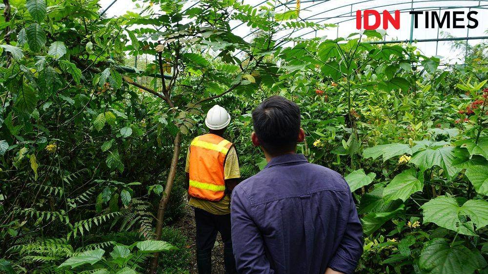 Freeport Selaraskan Tambang dan Kelestarian Alam Lewat 5 Hal Ini