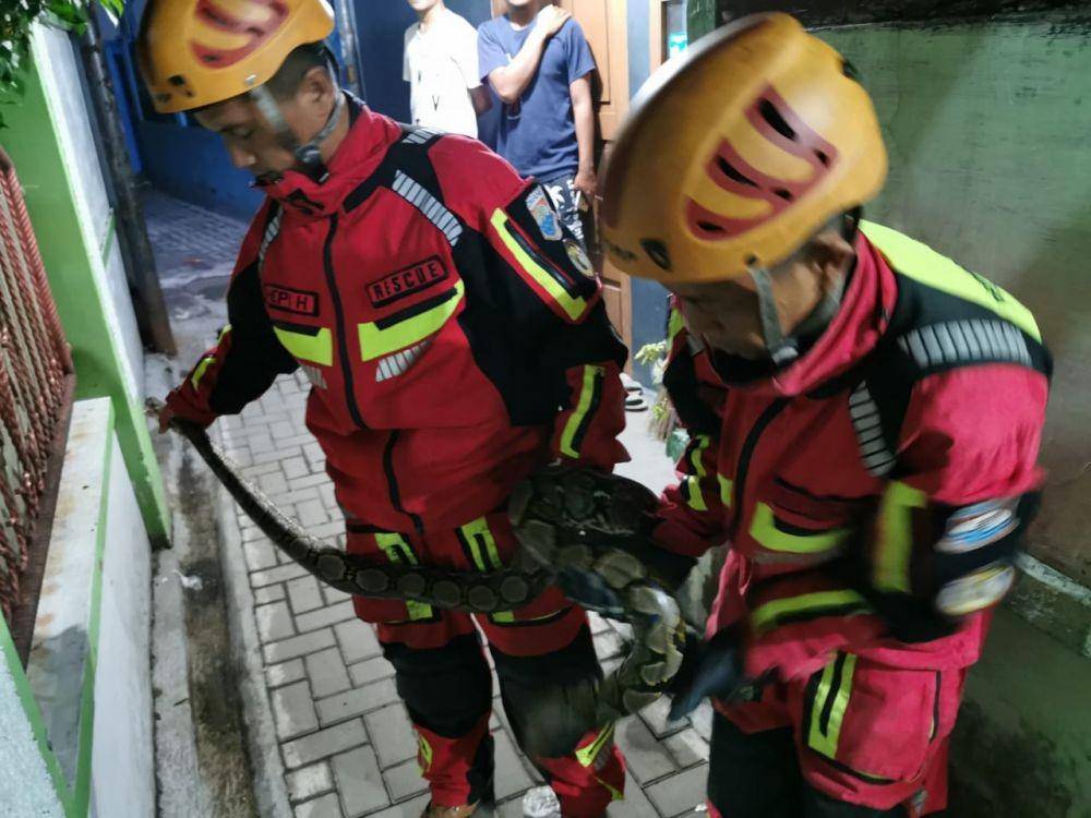Petugas Damkar Kota Cimahi