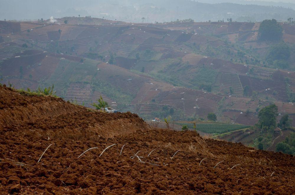 ANTARA FOTO/Raisan Al Farisi