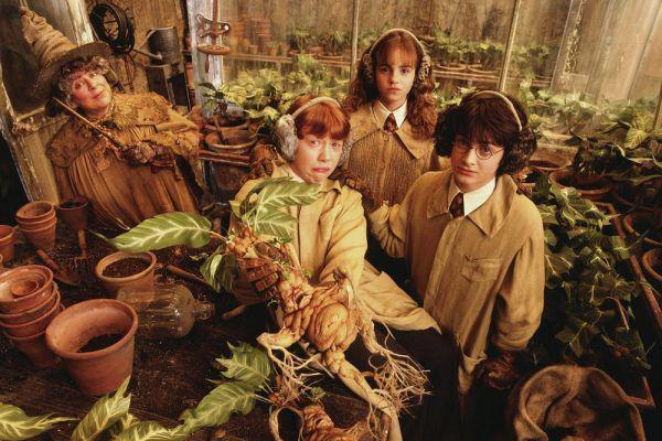 wiki.nurserylive.com